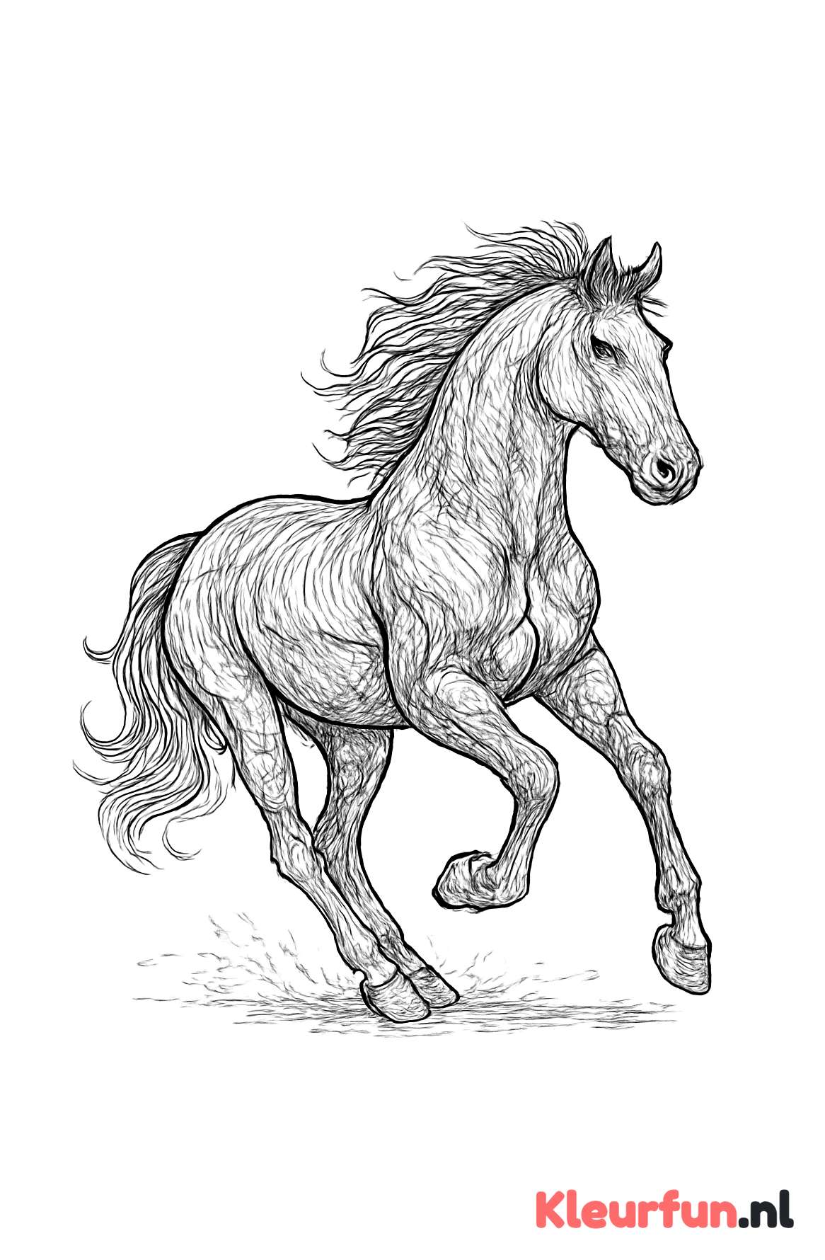Paard in galop met details