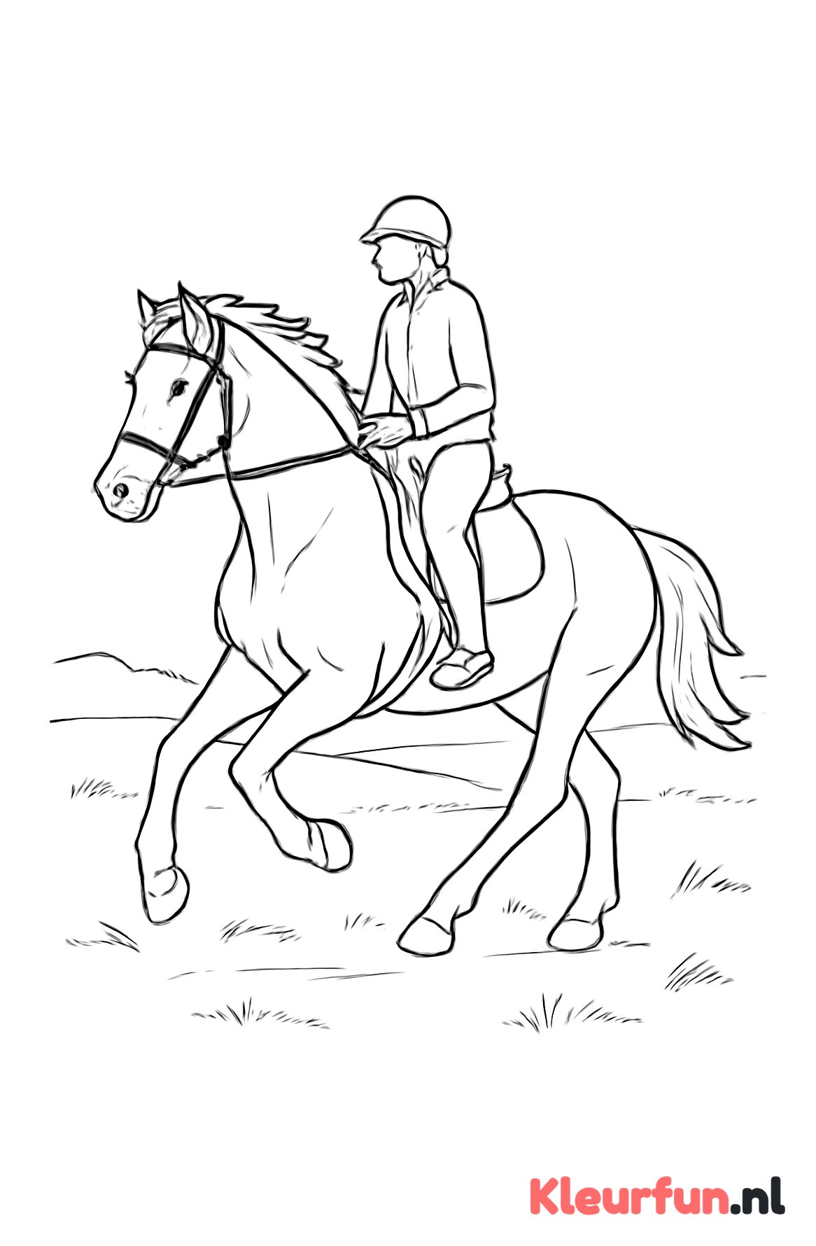 Paard in galop met ruiter