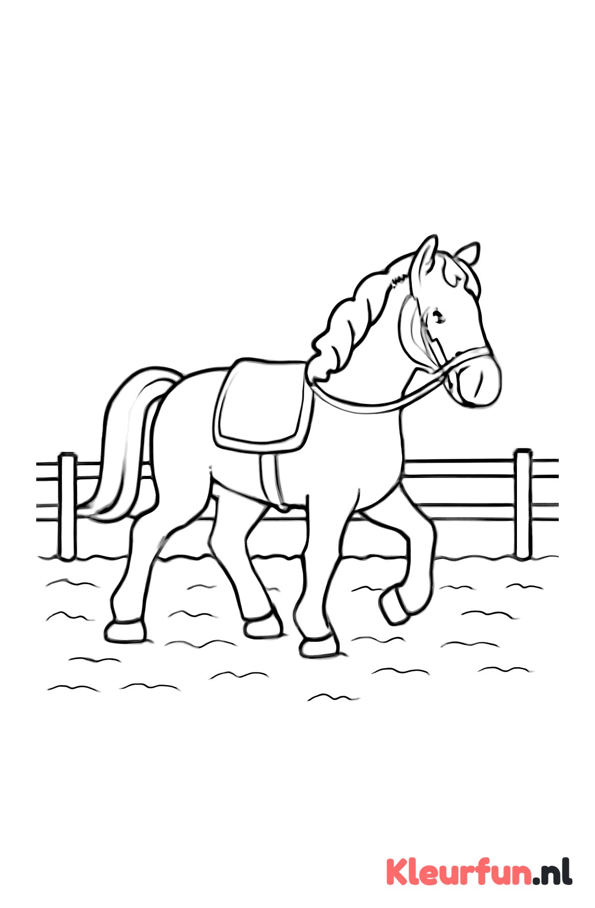 Paard in rijbak