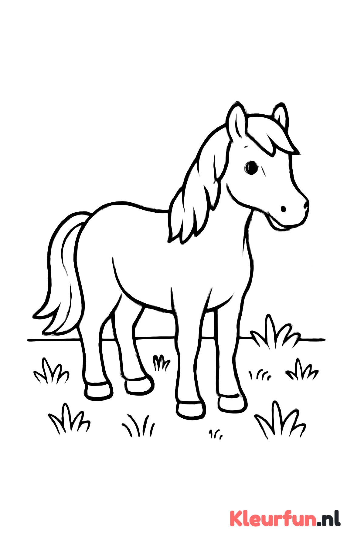 Paard in de wei
