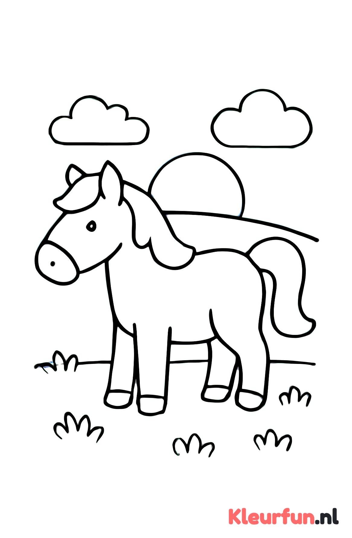 Paard in de wei