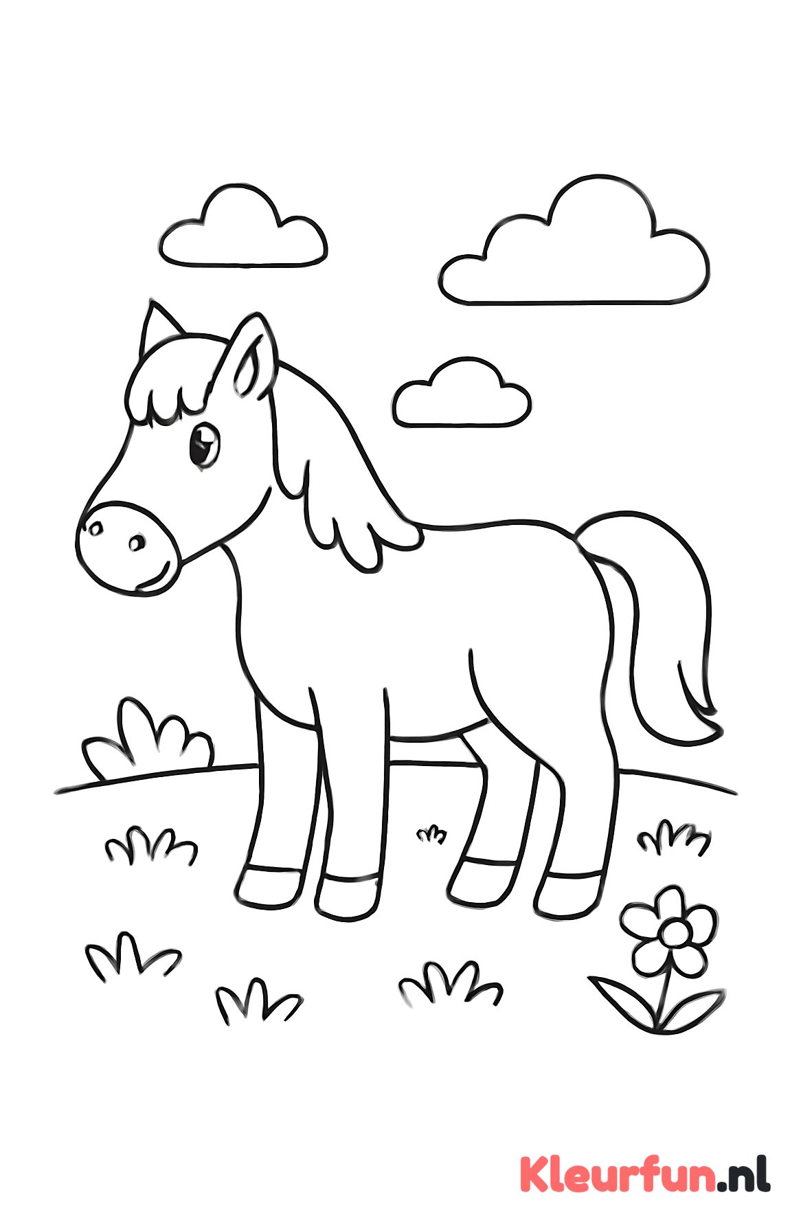 Paard in de wei