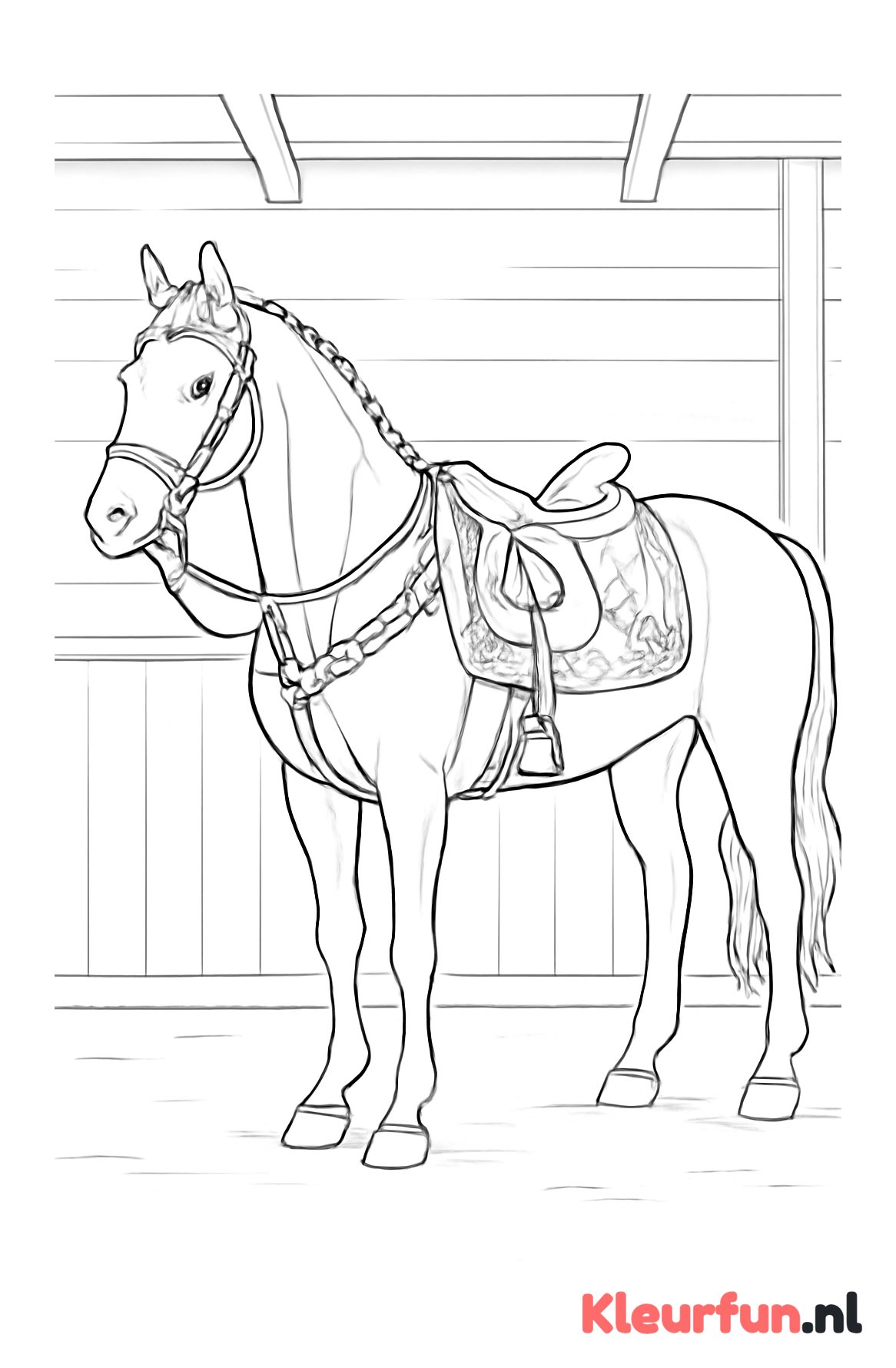 Paard met tuig en zadel