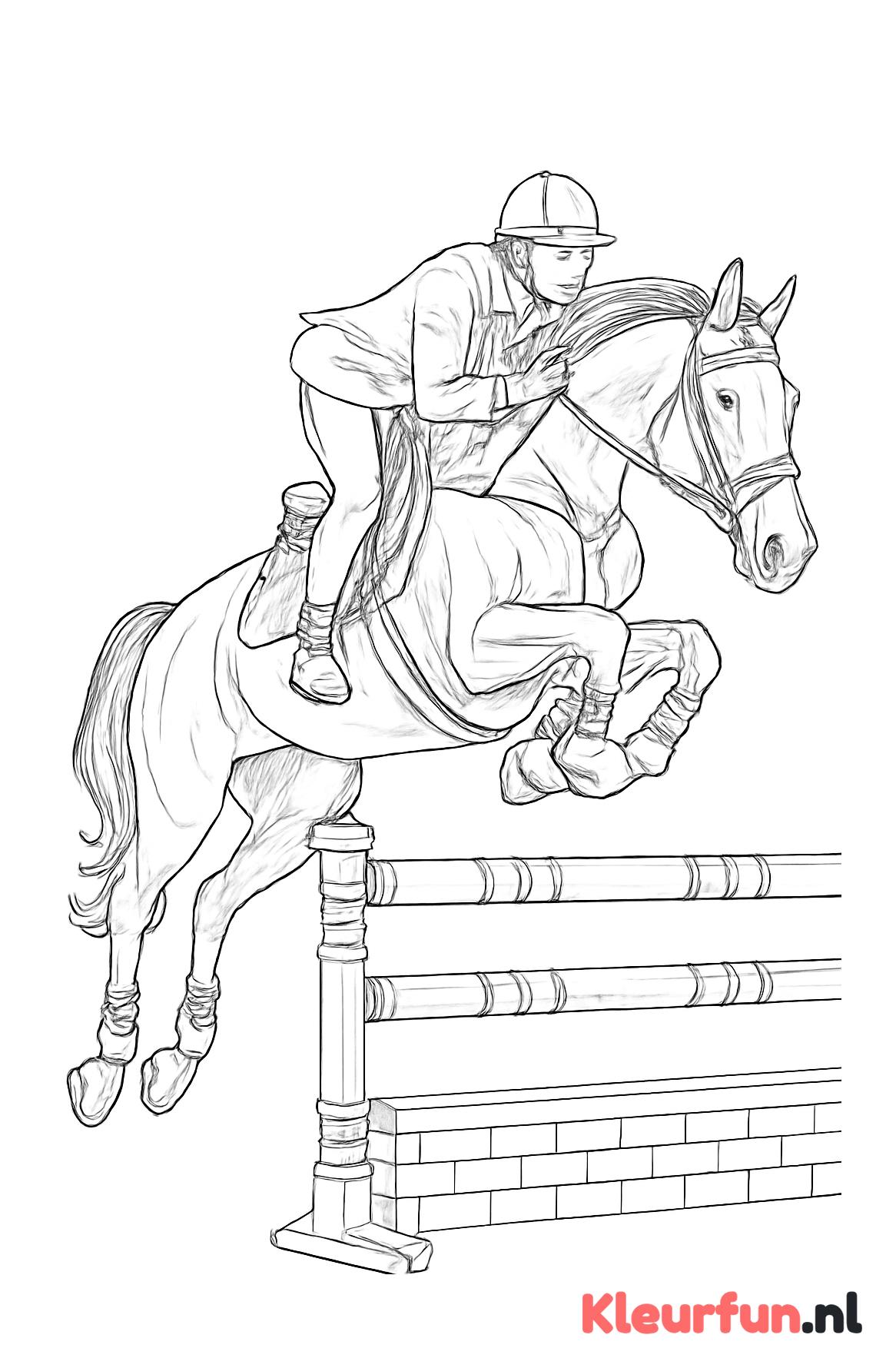 Paard en Ruiter bij Springen