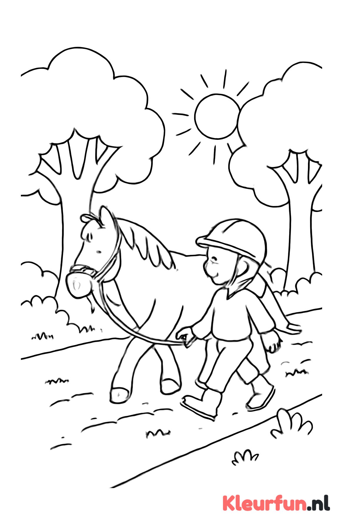 Paard met ruiter op wandeling