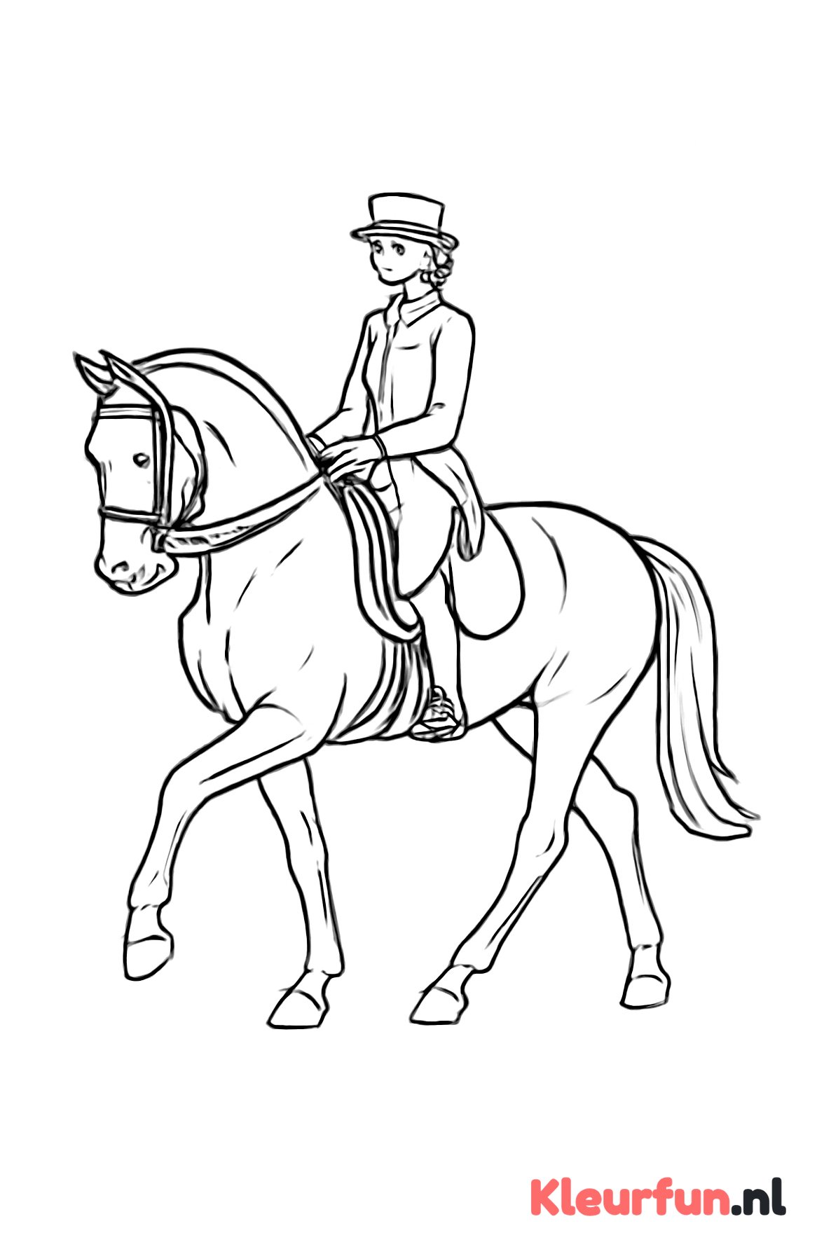 Paard en ruiter bij dressuur