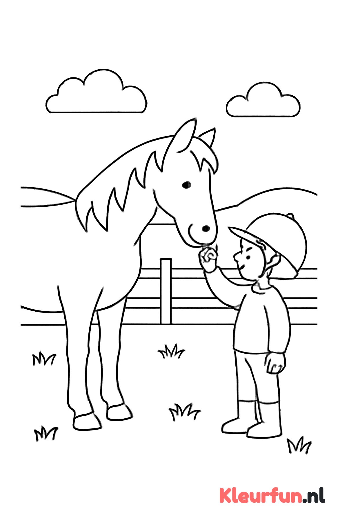 Paard en ruiter in de wei