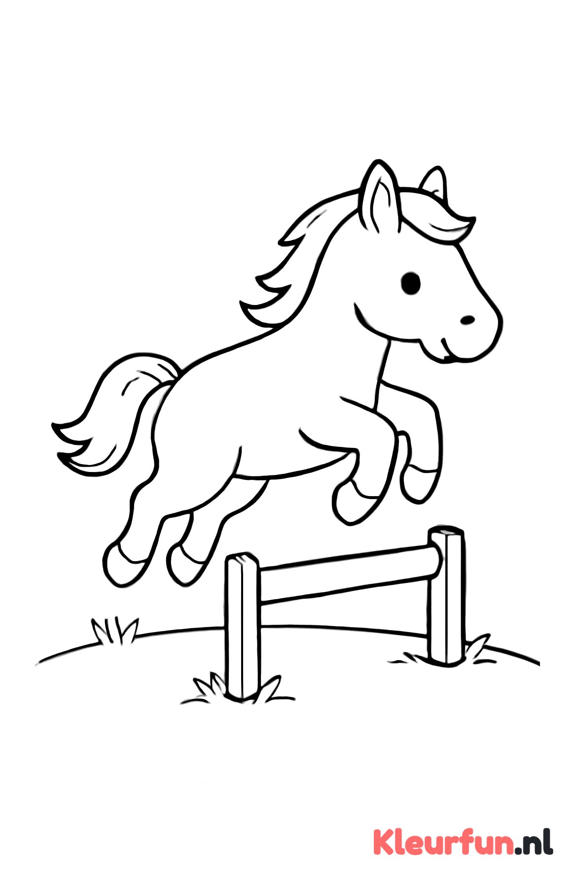 Paard springt over Hindernis