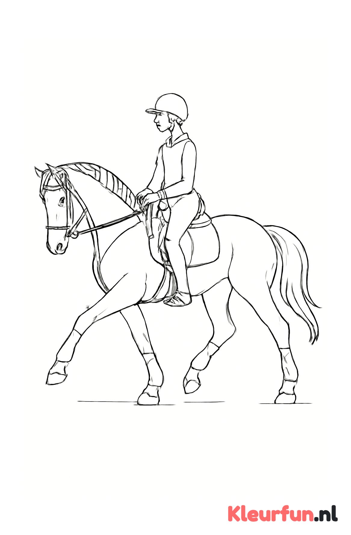 Paard in training met ruiter