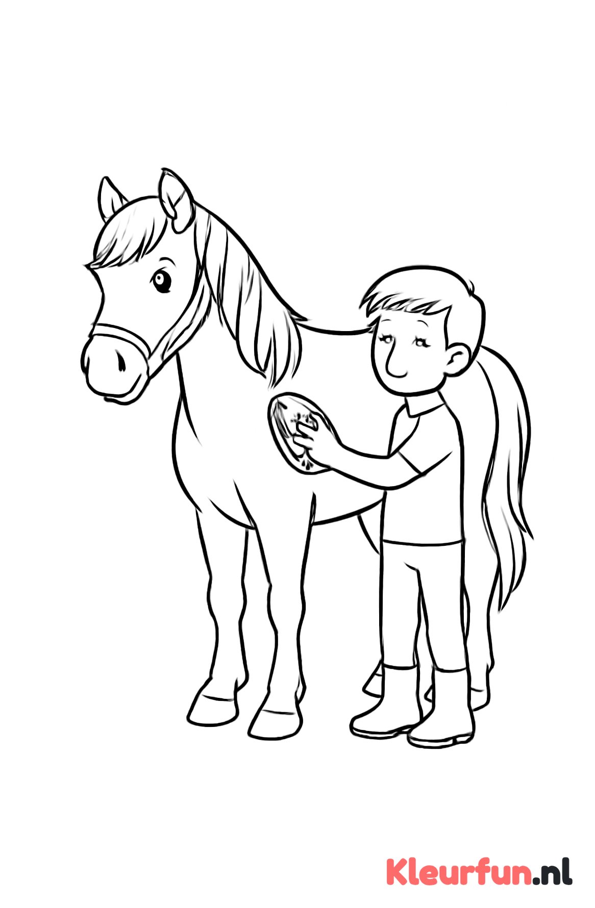 Paard verzorgen