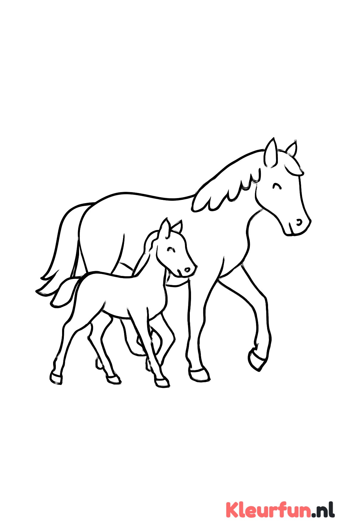 Paard en veulen lopen samen