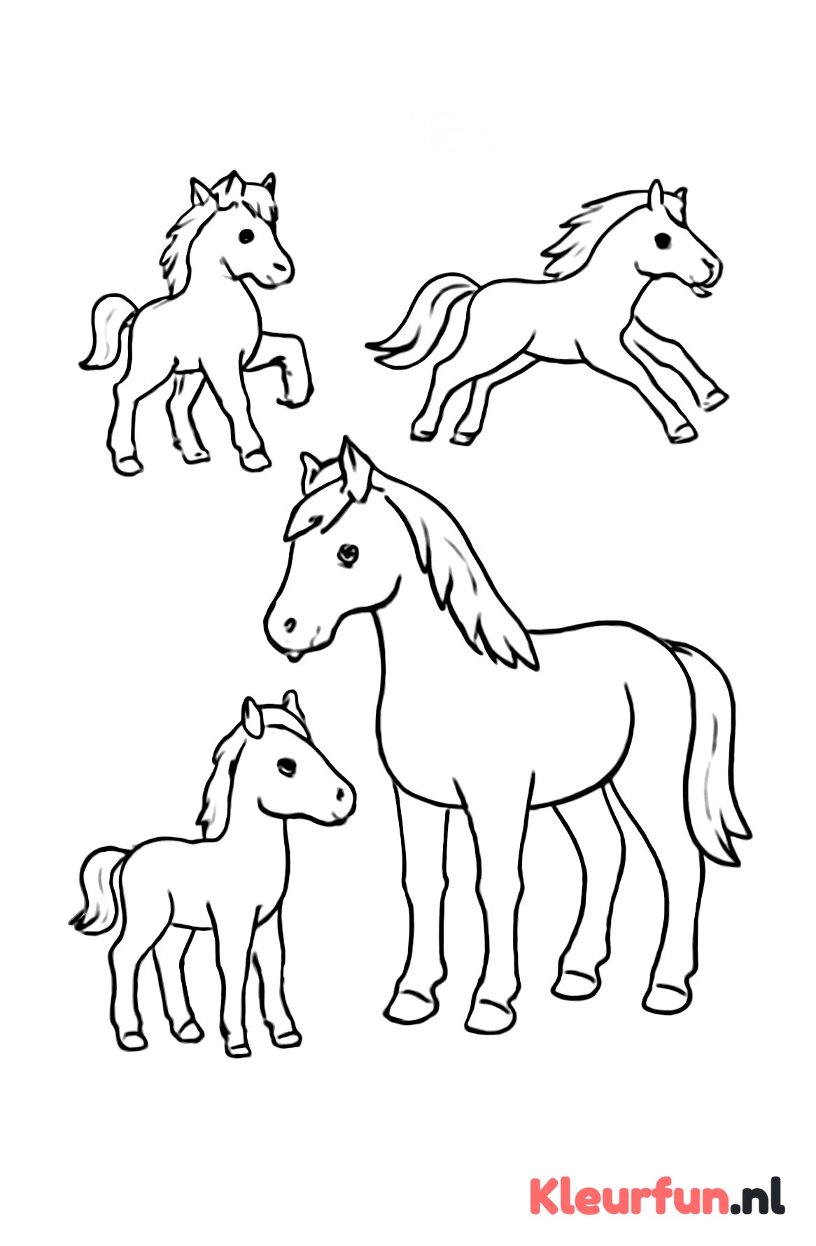 Paarden familie
