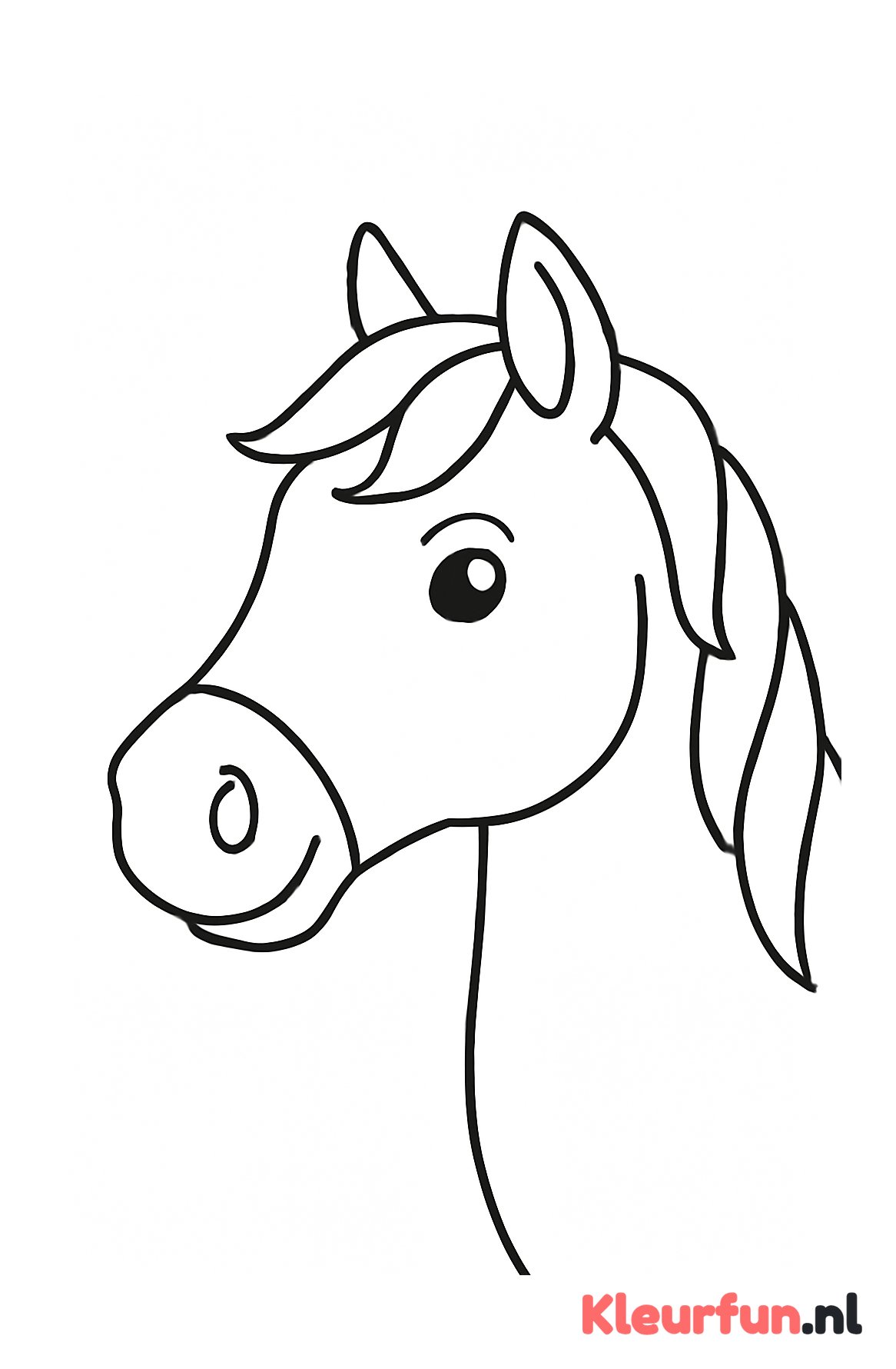 Paardenhoofd close-up