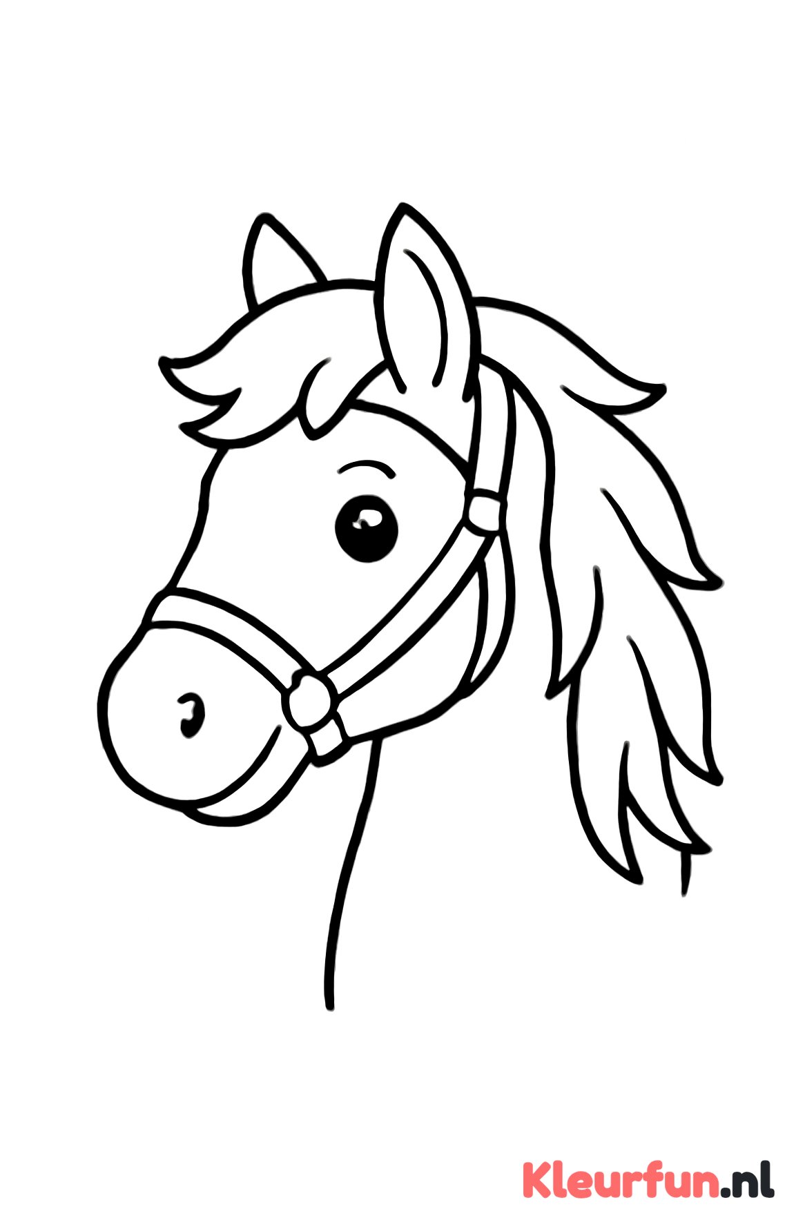 Paardenhoofd met teugel