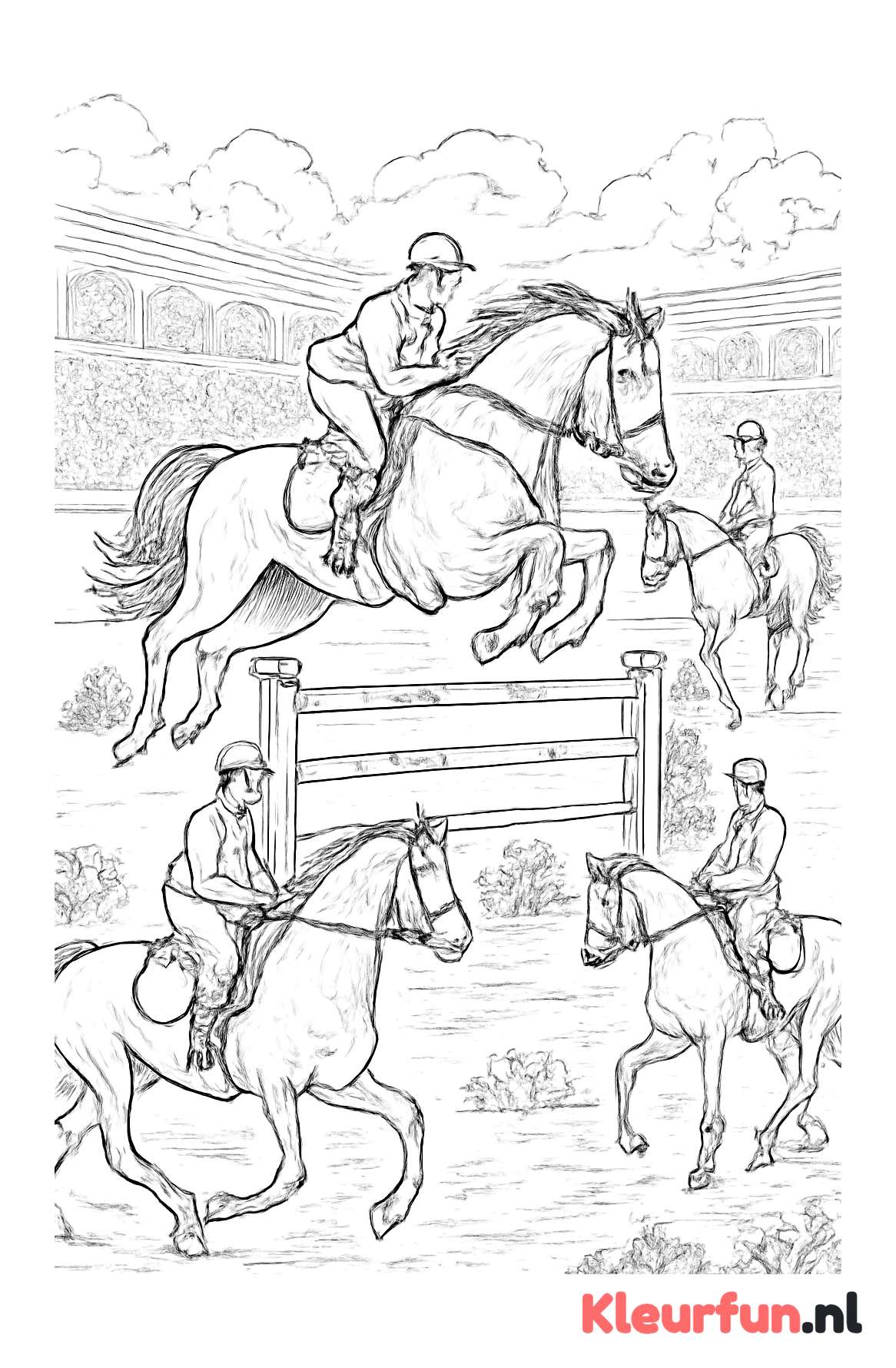 Paardensportwedstrijd in actie