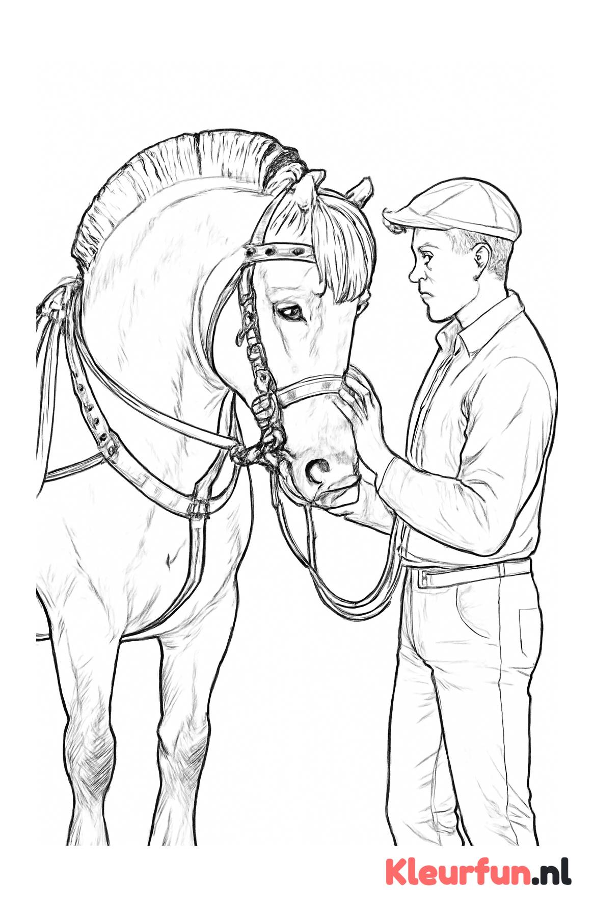 Paardentrainer met Fjord paard