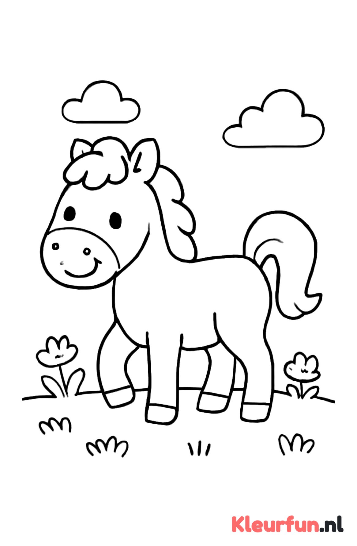 Paardje in de wei