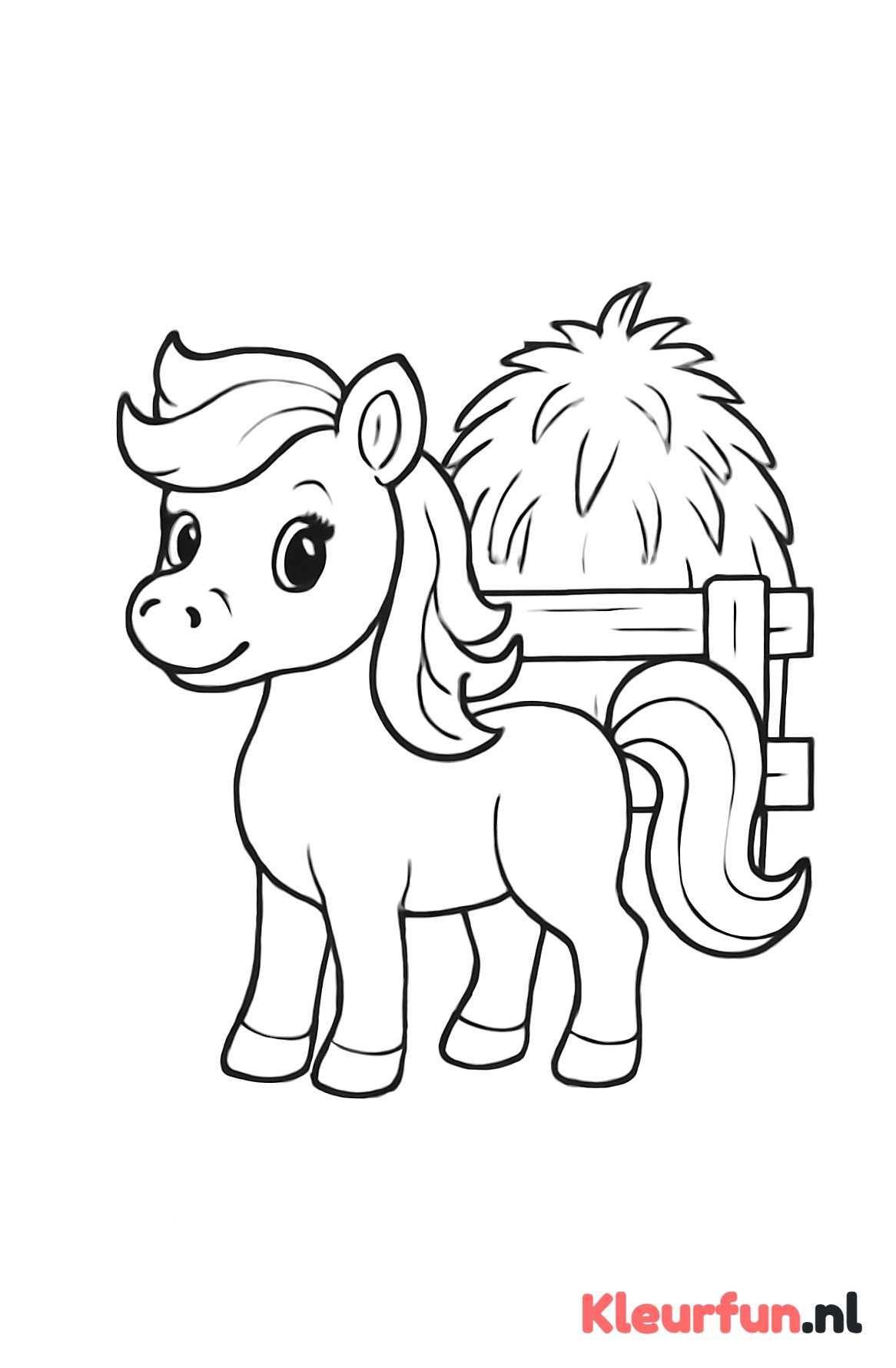 Pony bij houten hek