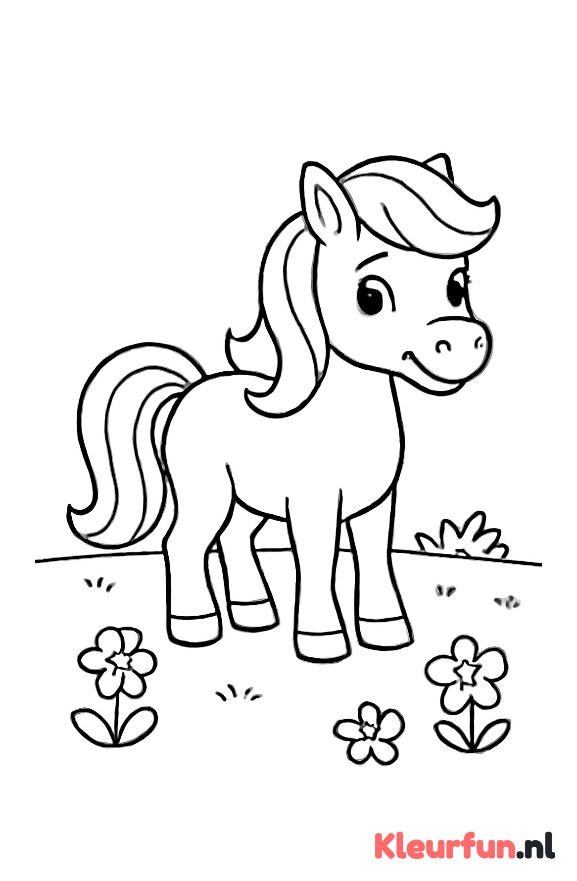 Pony in de groene wei