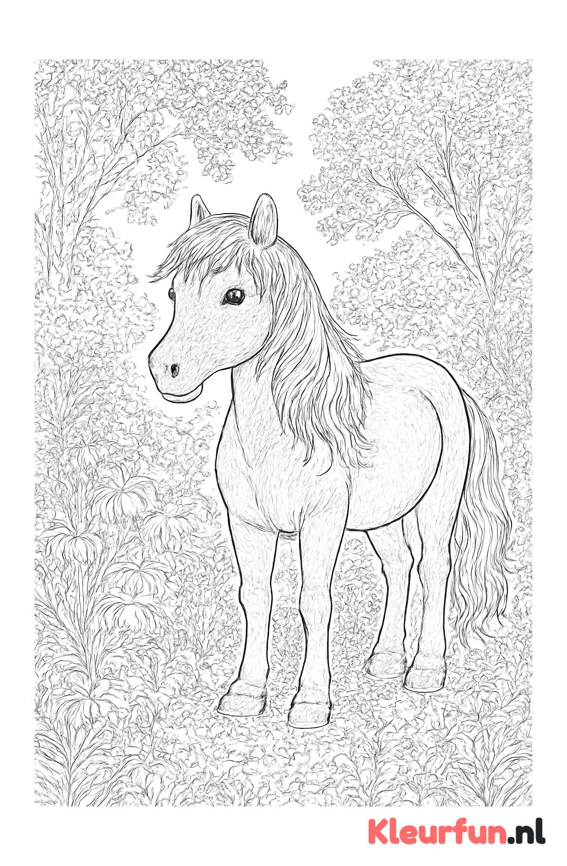 Pony in bloemrijk weiland