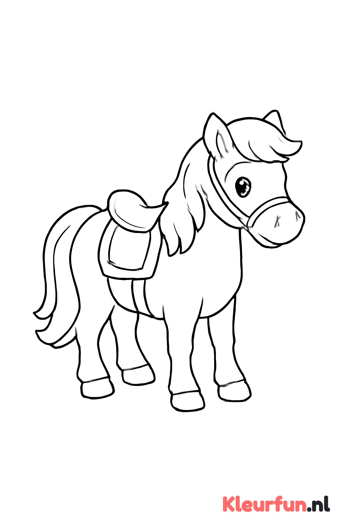 Pony met zadel