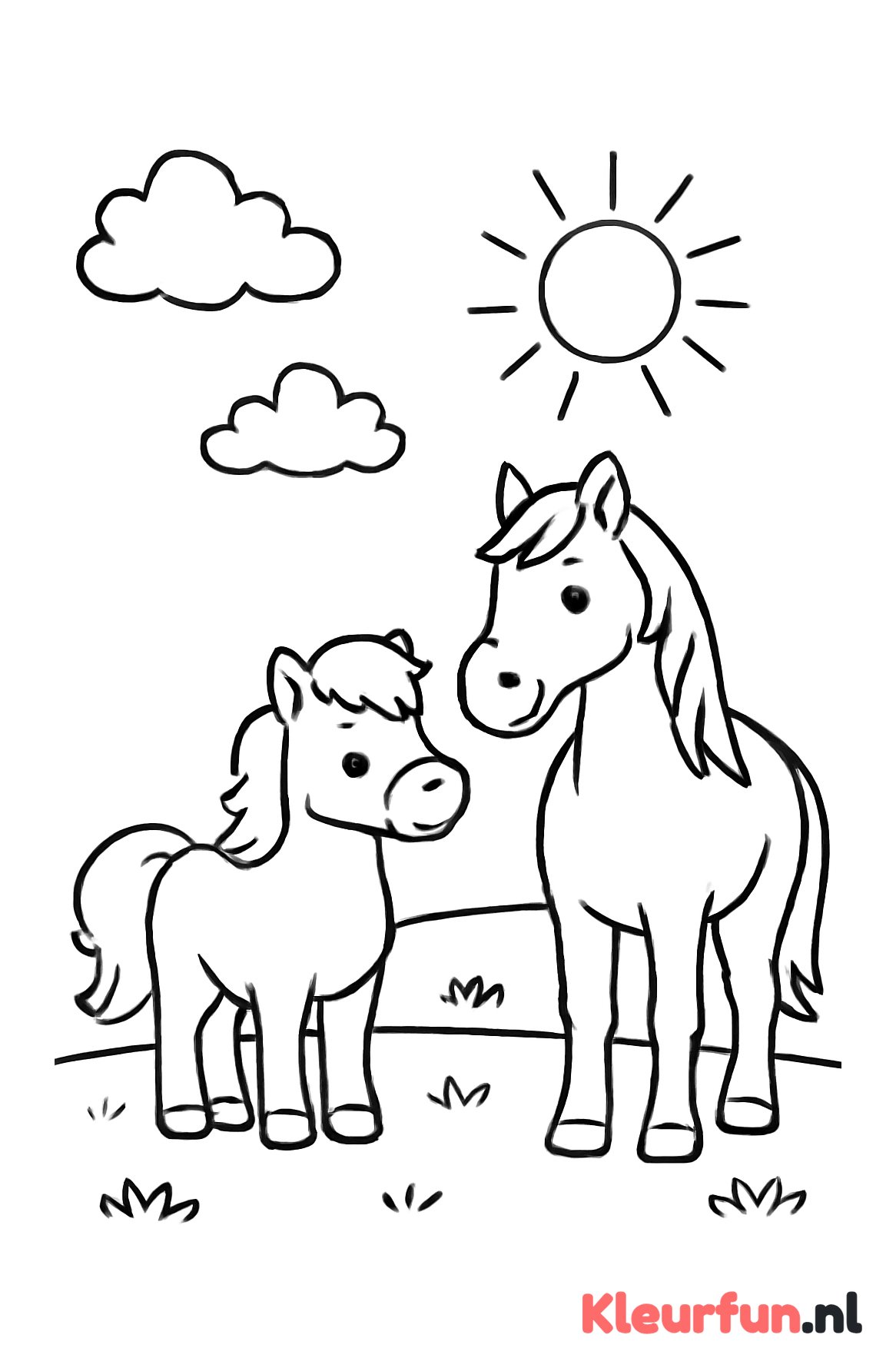 Pony en paarden in de weide