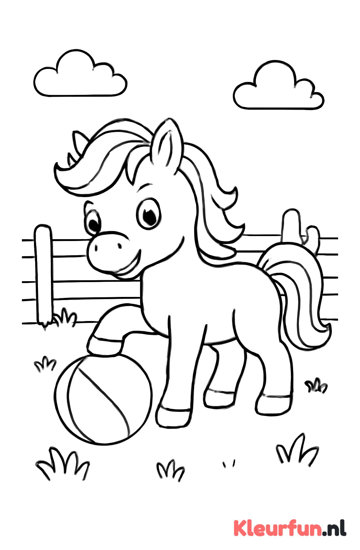 Pony speelt met bal