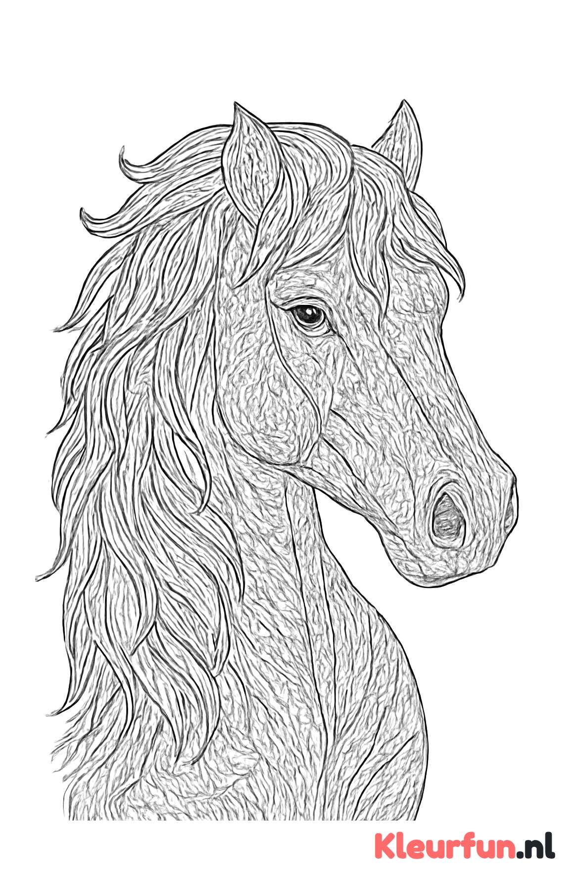 Close-up Portret van een Paard