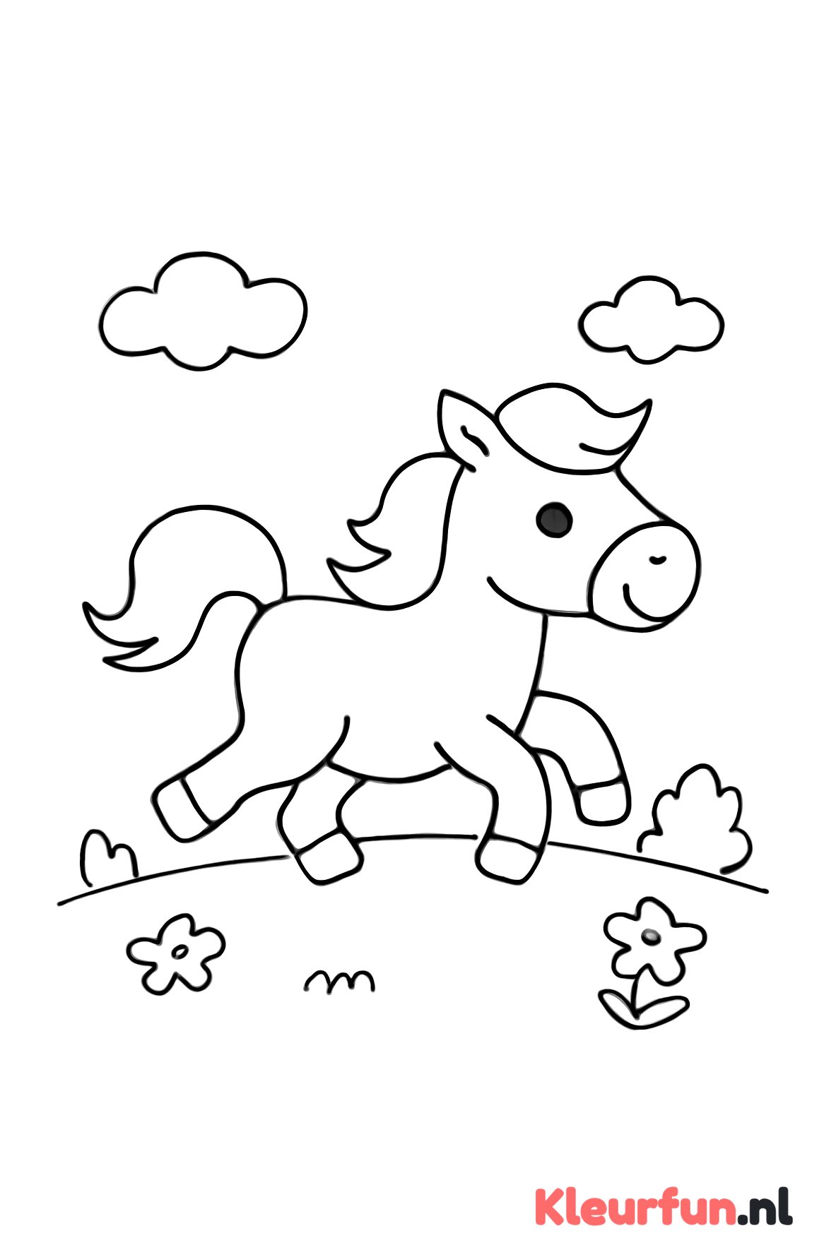 Rennende pony in het veld