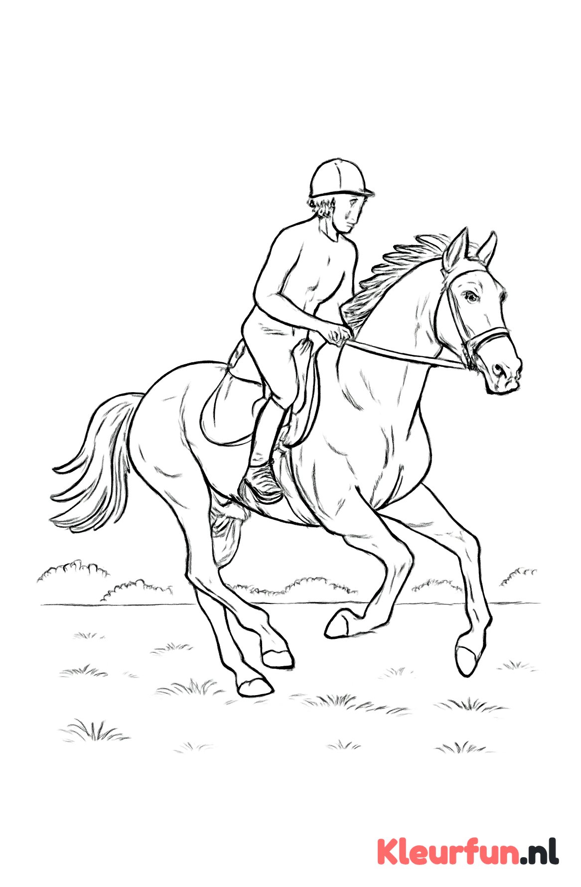 Ruiter te paard in galop