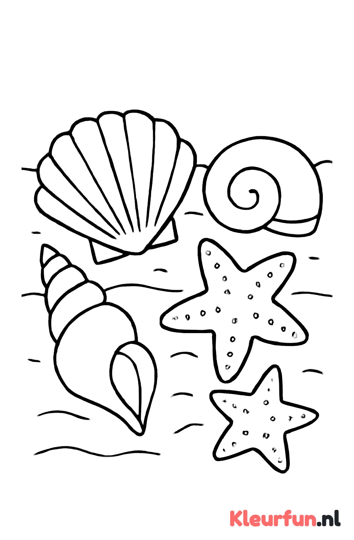 Schelp en zeester verzameling op het strand