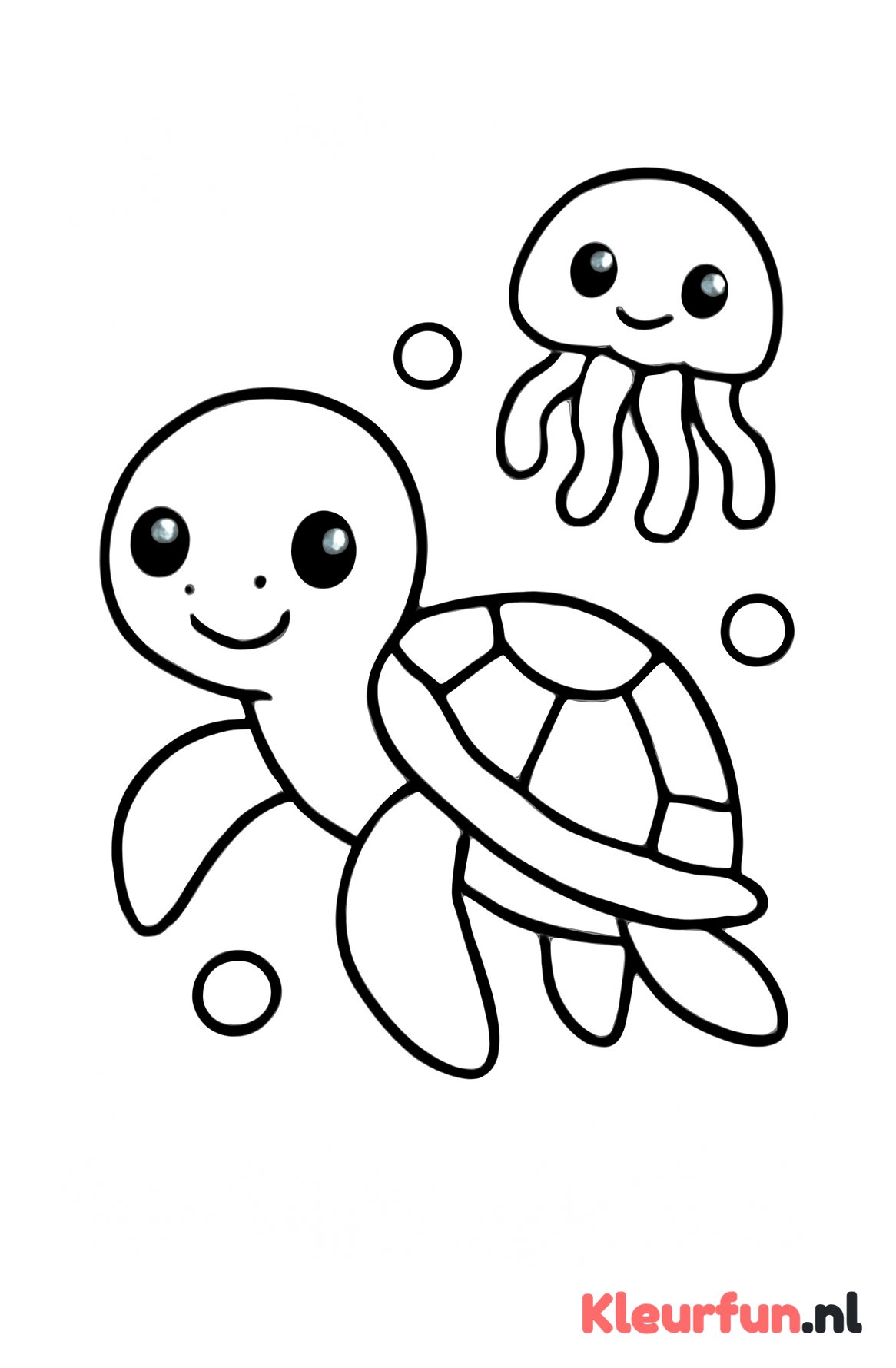 Schildpad en kwalletje