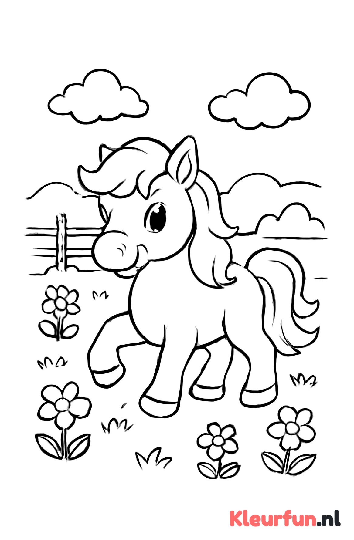 Speelse pony in het weiland