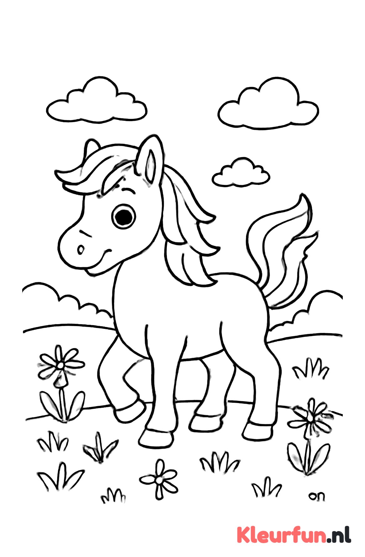 Speelse pony in het weiland