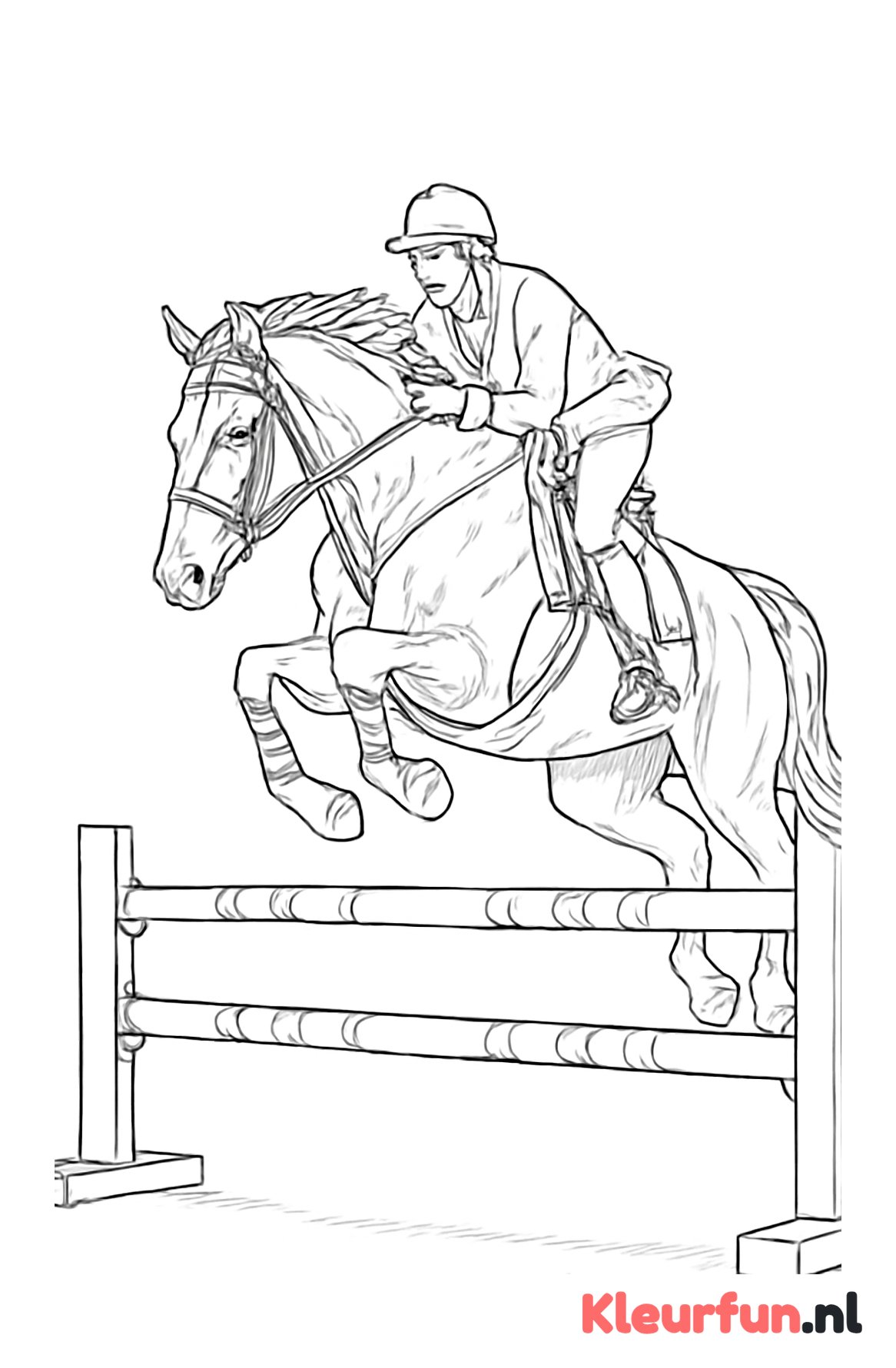 Springpaard over hindernis