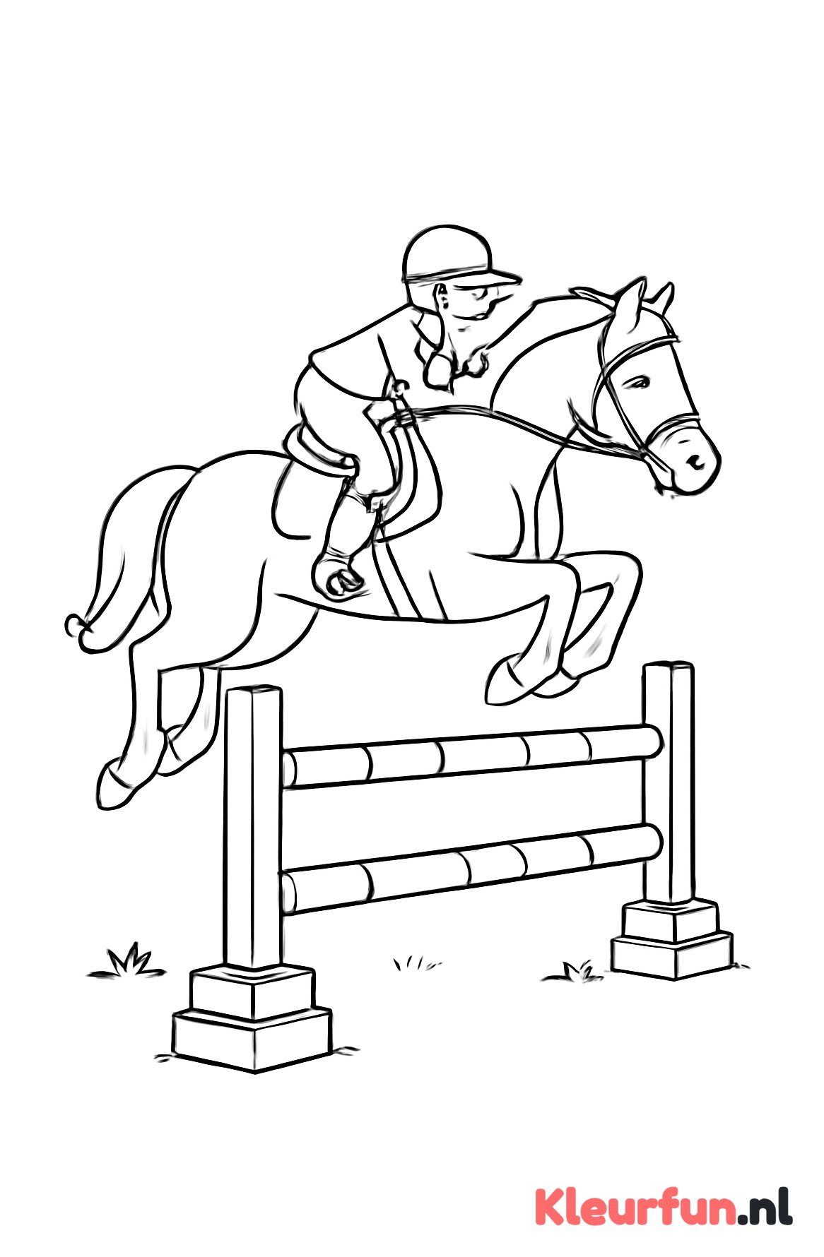 Springpaard over hindernis