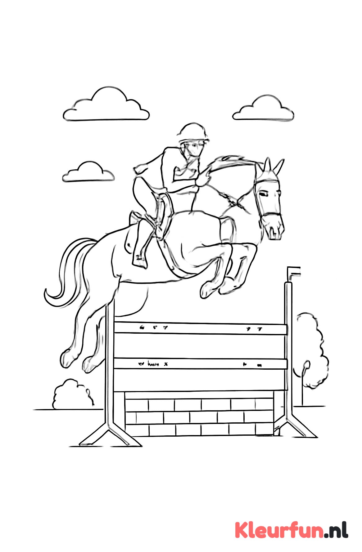 Springpaard over hindernis