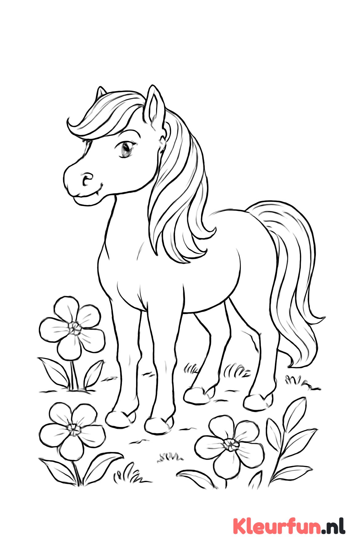 Trotse pony in weide