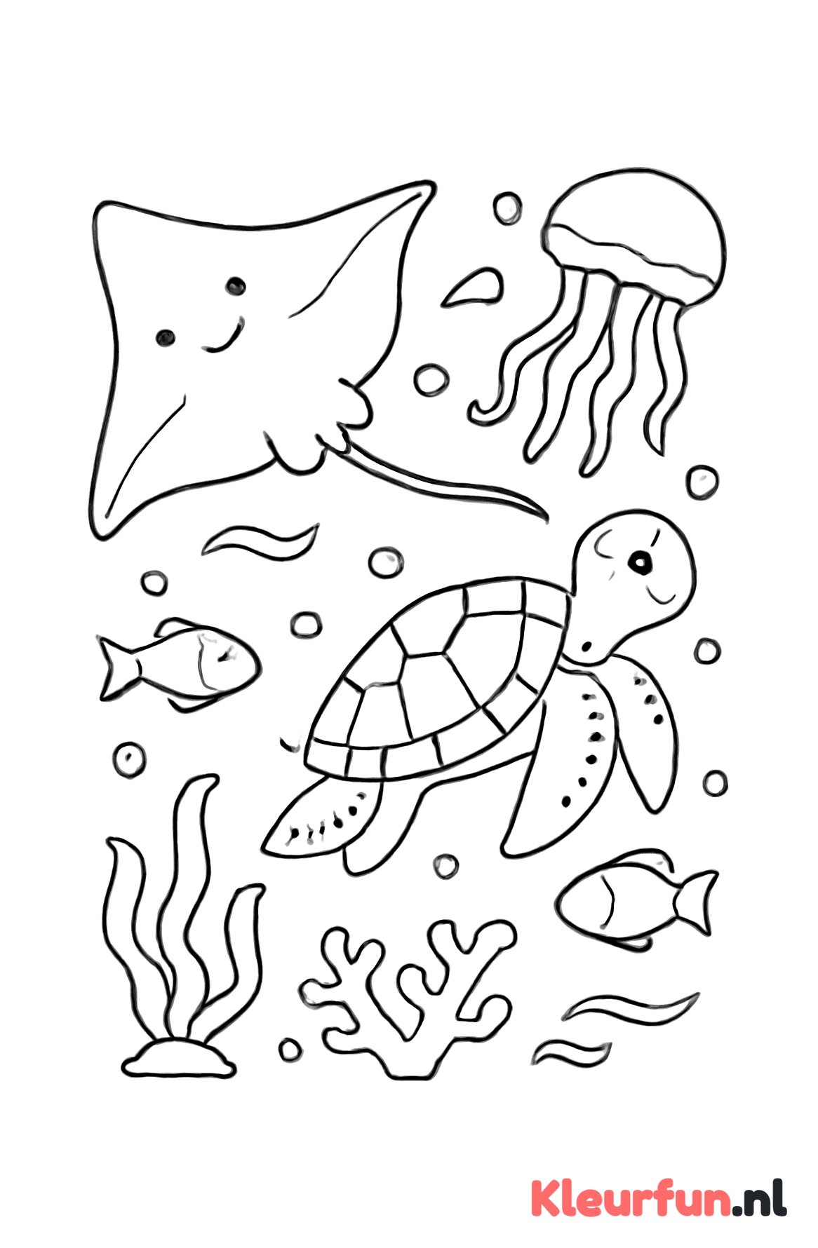 Verscheidenheid aan zeedieren
