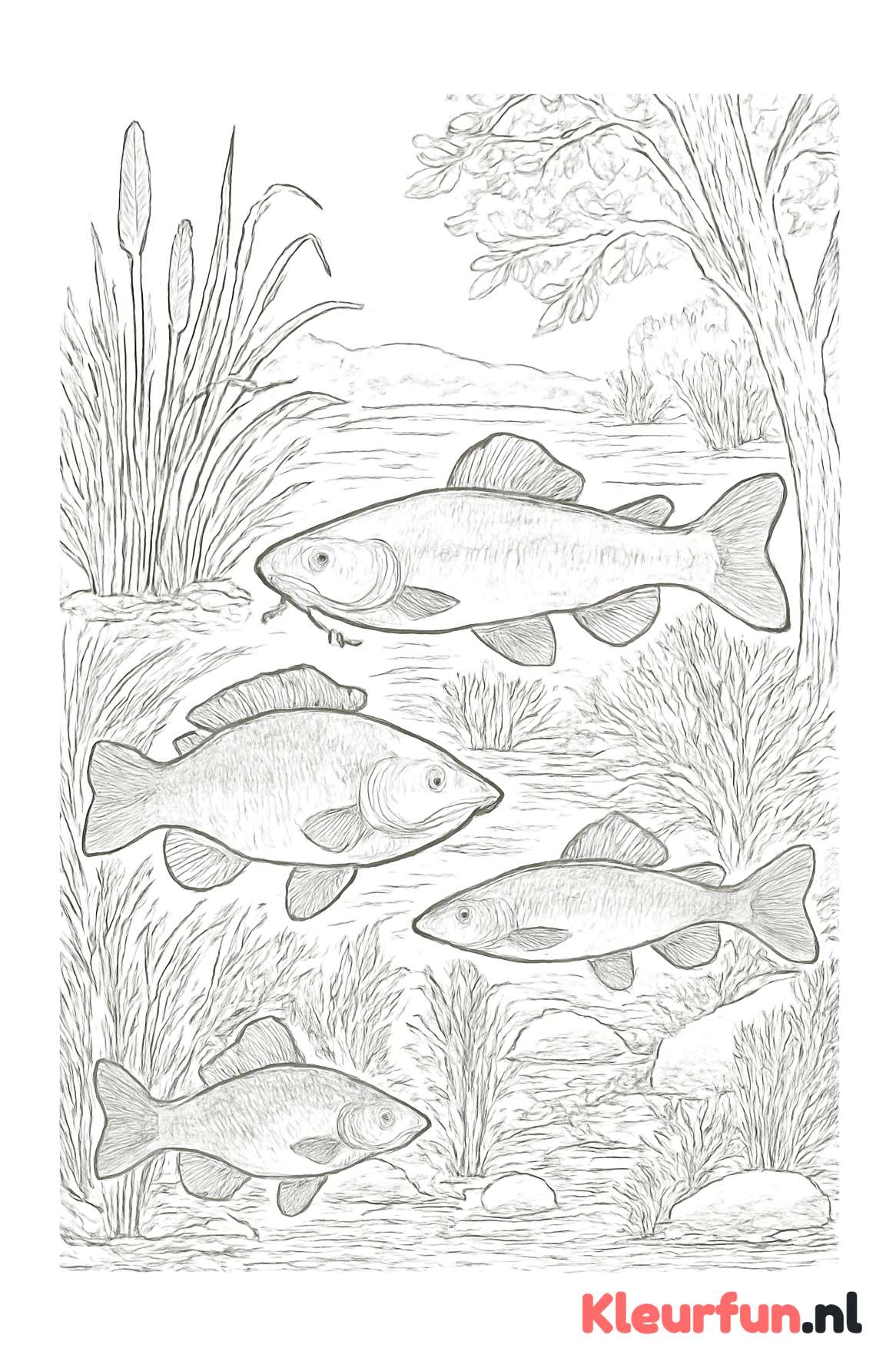 Vissen in natuurlijke habitats