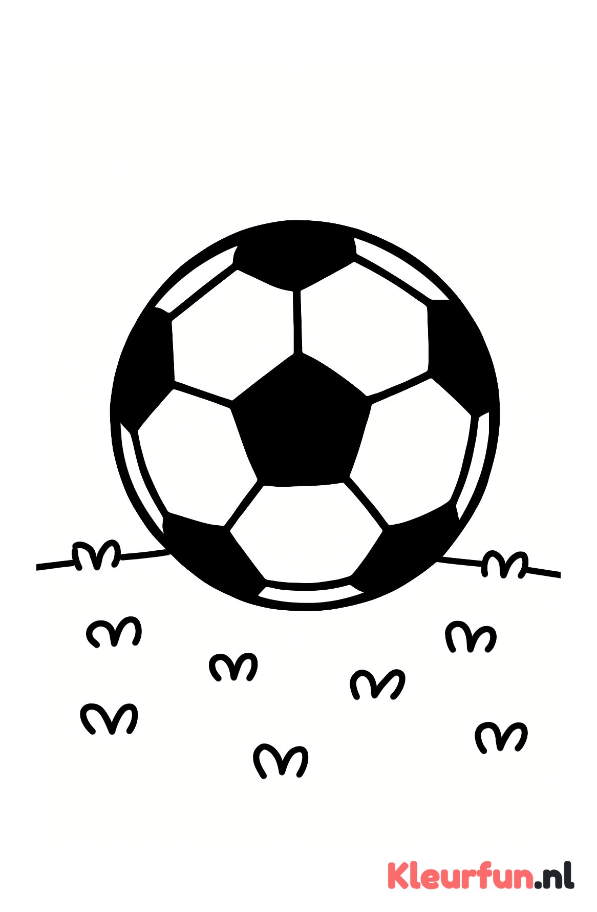 Voetbal op grasveld
