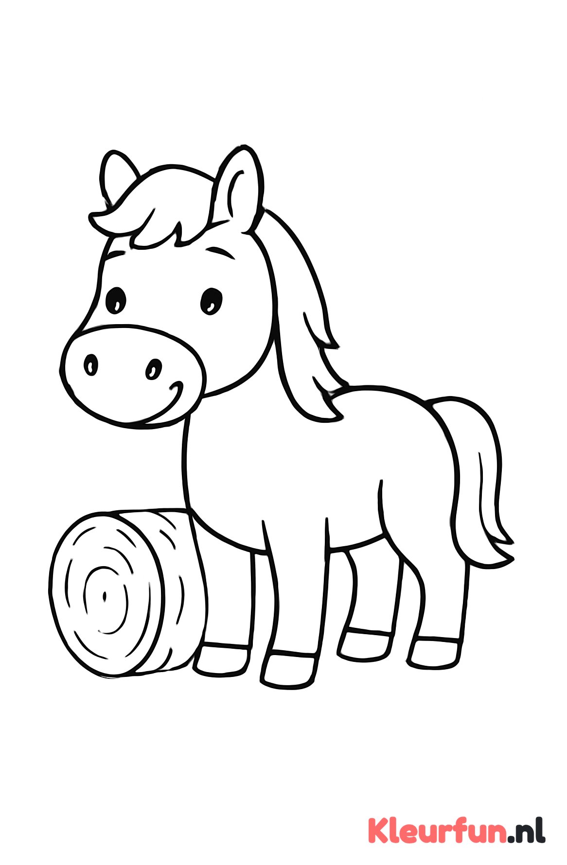 Vriendelijk Paard bij Hooibaal