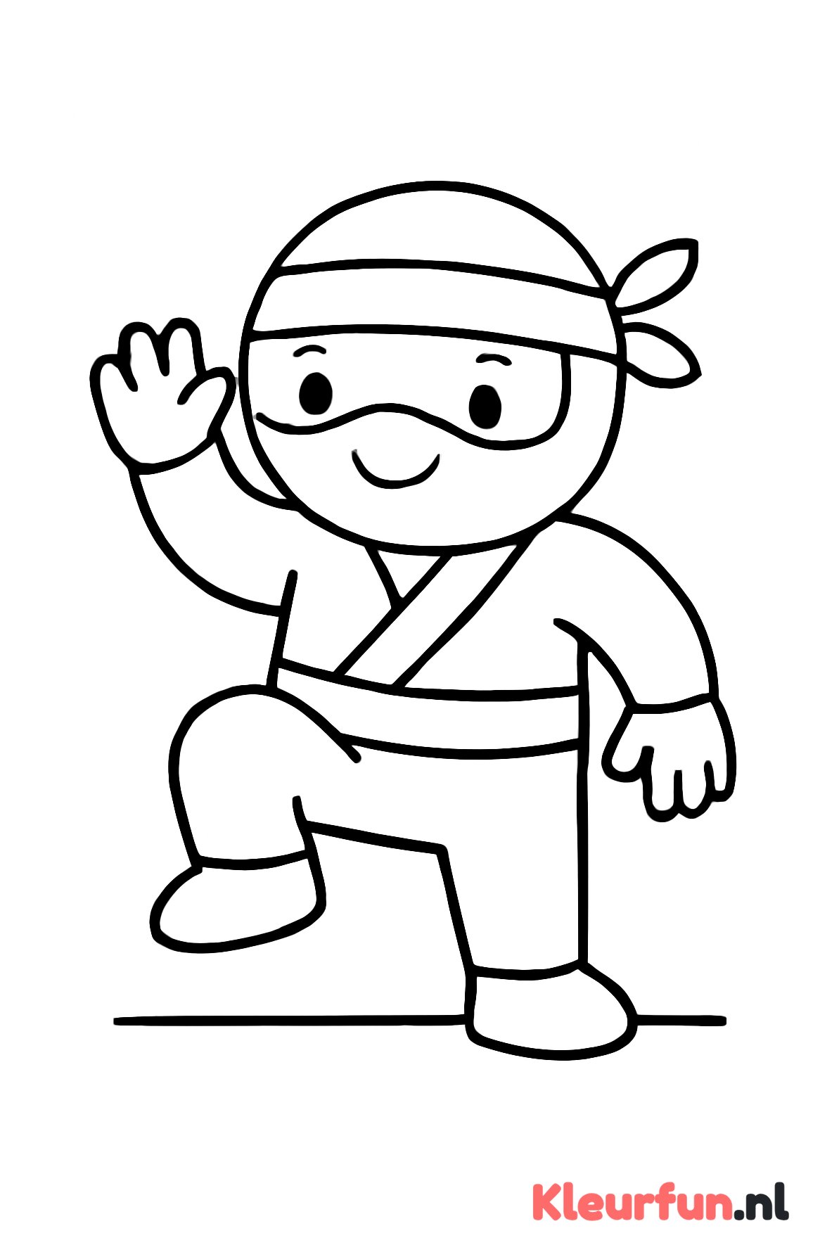 Vriendelijke Ninja