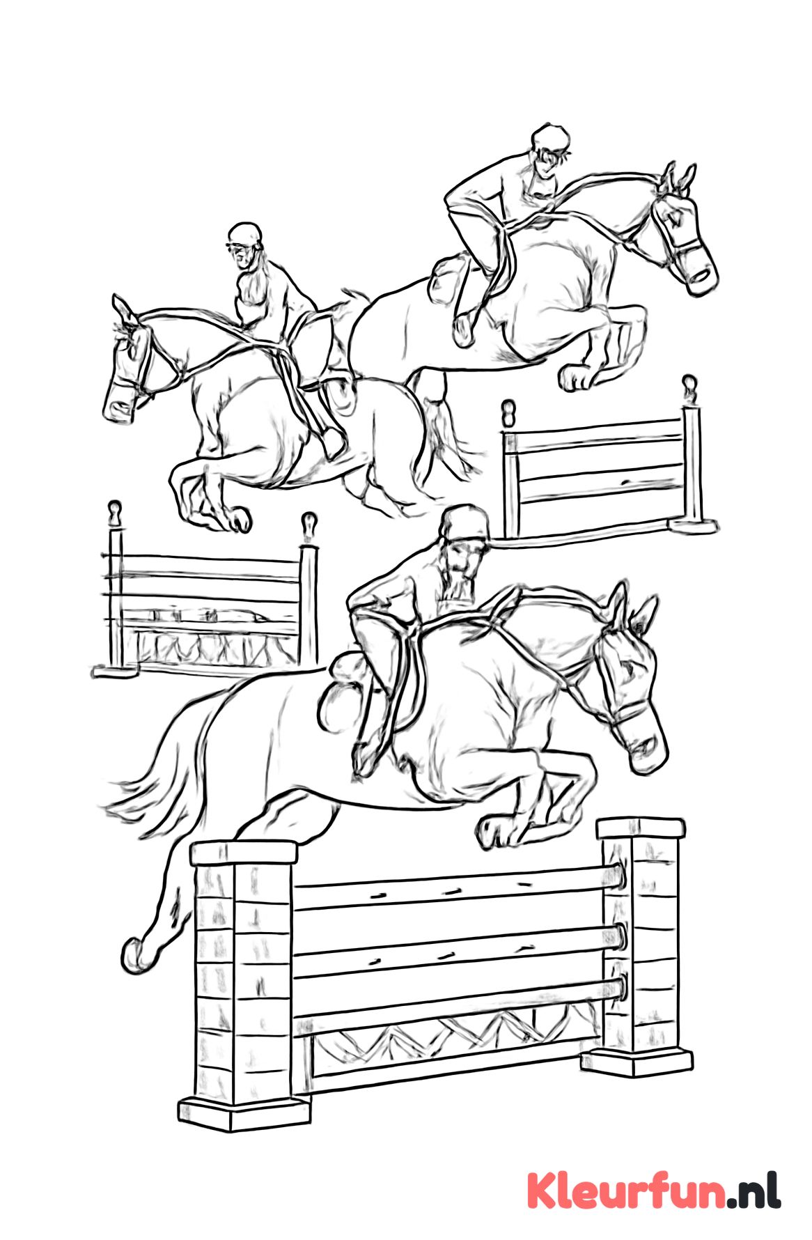 Paardenspringwedstrijd in actie