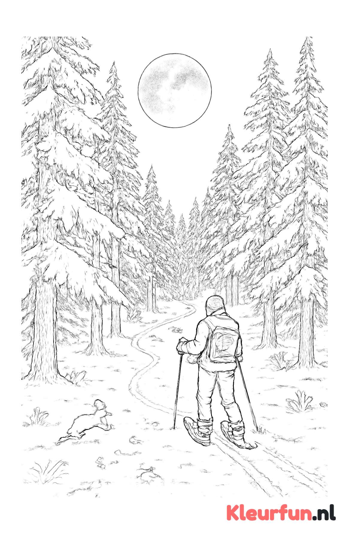 Winterbos met wandelaar en maanlicht