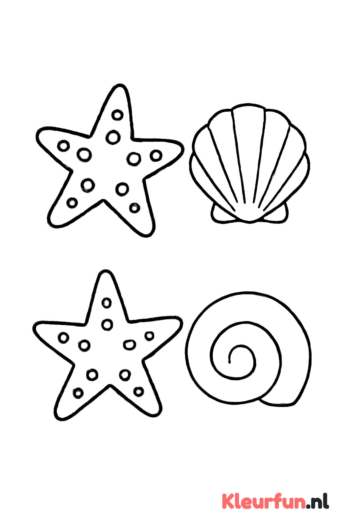 Zeester en schelp duo's