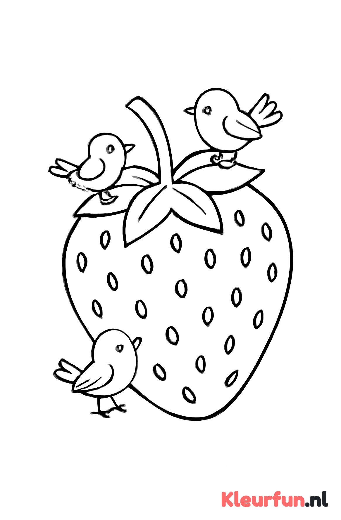 Aardbei met vogels