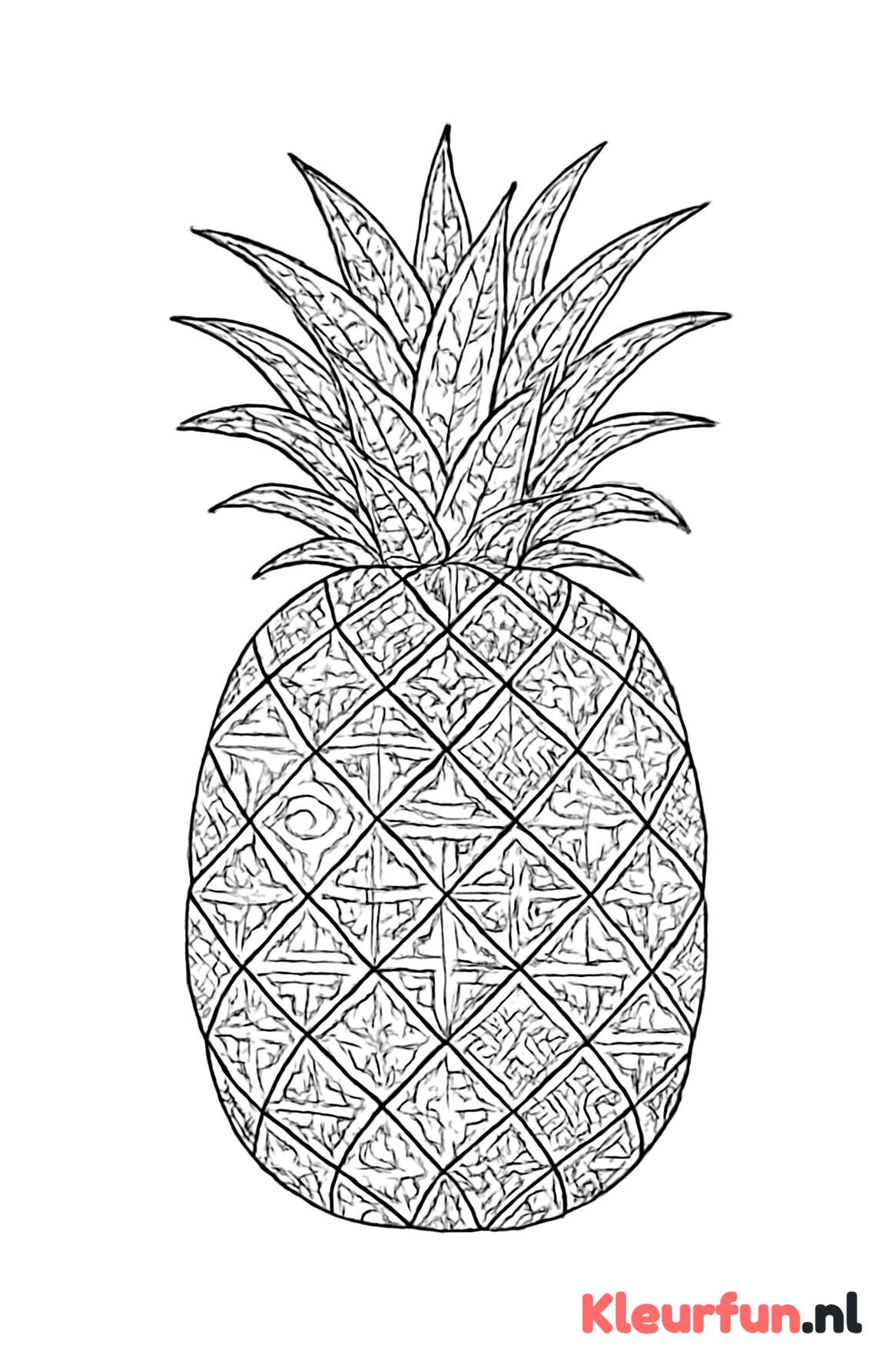 Abstracte geometrische ananas