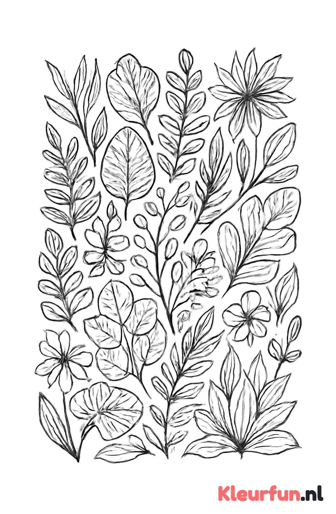 Abstracte planten en bladeren
