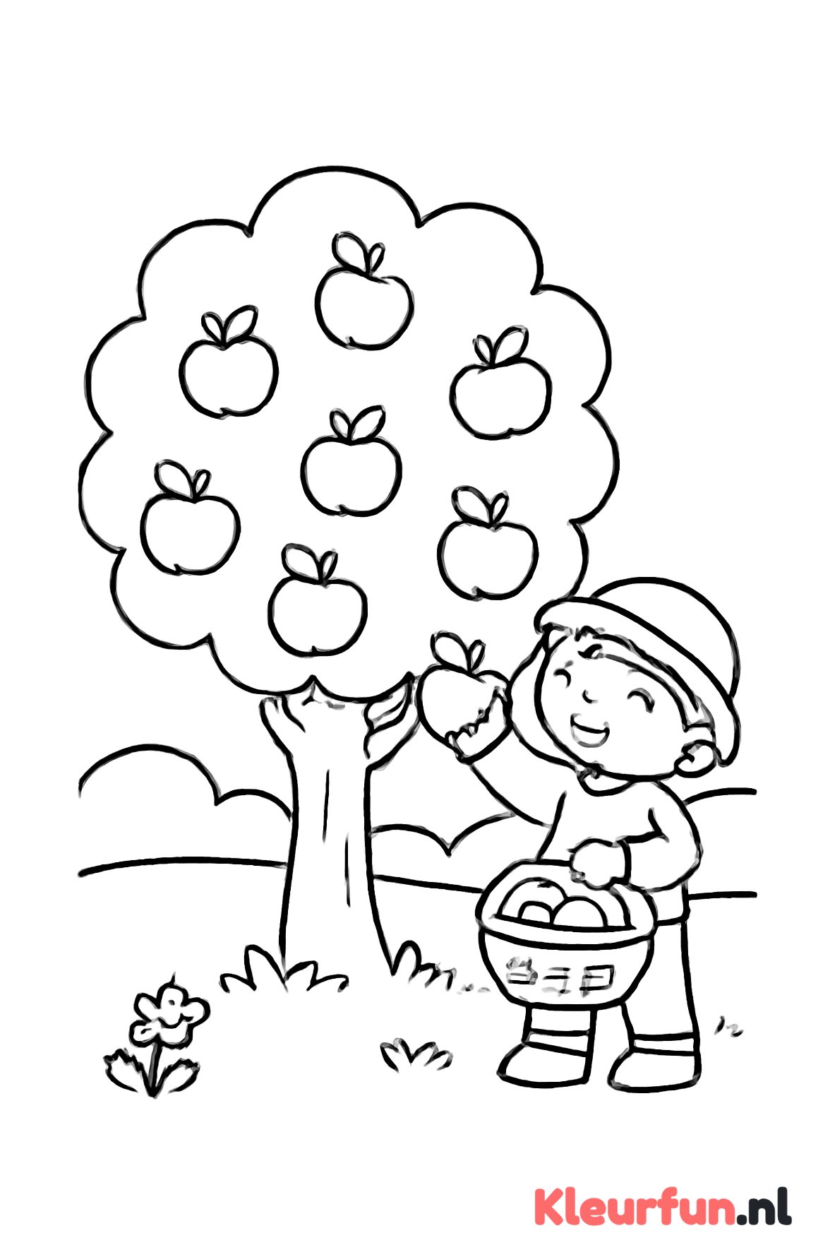 Kind plukt appels aan appelboom